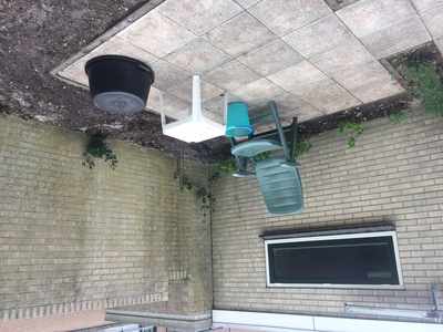 Vergroening tuin 1